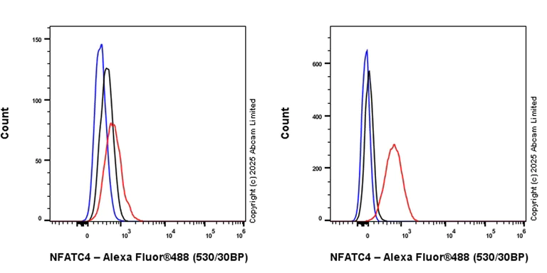Flow Cytometry (Intracellular) - Anti-NFATC4 antibody [EPR25678-90] (AB324108)