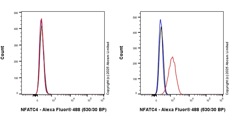 Flow Cytometry (Intracellular) - Anti-NFATC4 antibody [EPR25678-90] (AB324108)