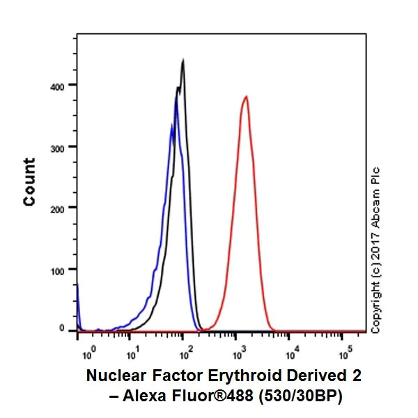 Flow Cytometry (Intracellular) - Anti-NFE2 antibody [EPR20463] - BSA and Azide free (AB251577)