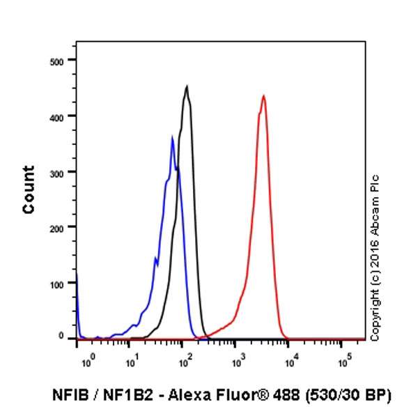 Flow Cytometry (Intracellular) - Anti-NFIB / NF1B2 antibody [EPR14122] - BSA and Azide free (AB250892), expandable thumbnail