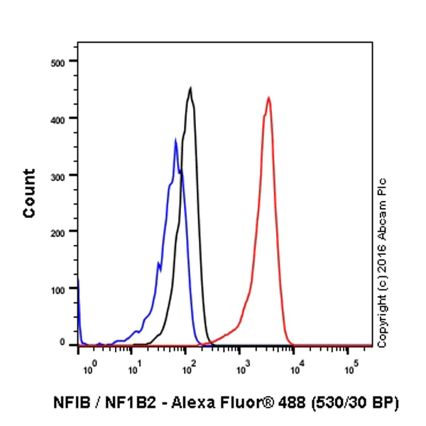 Flow Cytometry (Intracellular) - Anti-NFIB / NF1B2 antibody [EPR14122] - BSA and Azide free (AB250892)