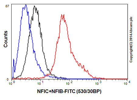 Flow Cytometry (Intracellular) - Anti-NFIB / NF1B2 + NFIC/CTF antibody [EPR14504] (AB200829), expandable thumbnail