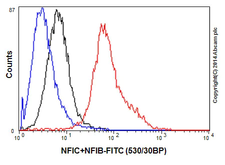 Flow Cytometry (Intracellular) - Anti-NFIB / NF1B2 + NFIC/CTF antibody [EPR14504] (AB200829)