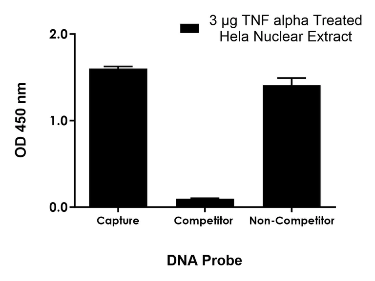 Sandwich ELISA - NFkB p50 Transcription Factor Activity Assay Kit (AB324202)