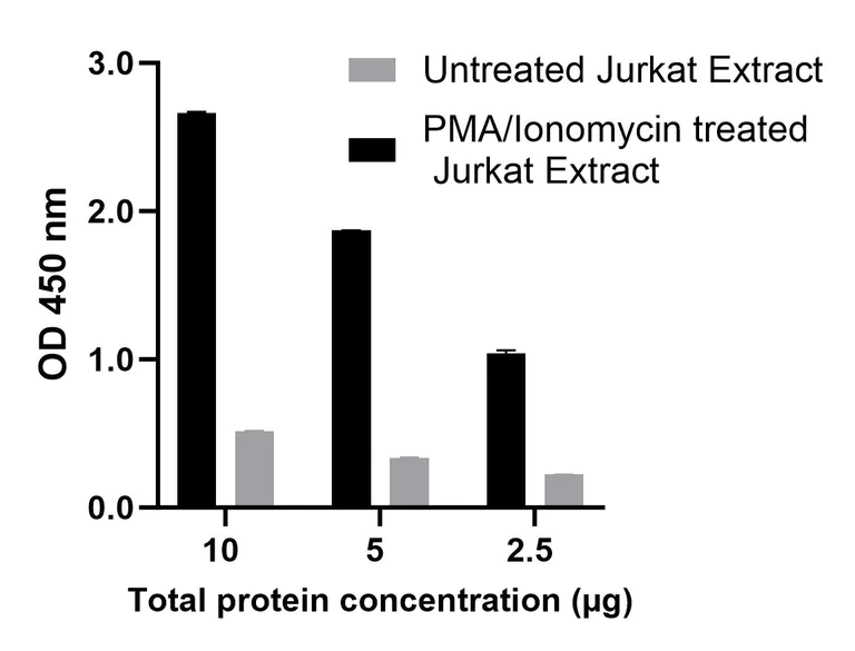 Sandwich ELISA - NFkB p50 Transcription Factor Activity Assay Kit (AB324202)