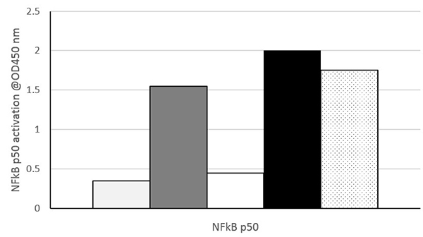 Functional Studies - NFkB p50 Transcription Factor Assay Kit (Colorimetric) (AB207217)