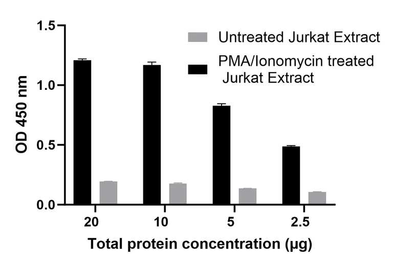 Functional Studies - NFkB p65 Transcription Factor Activity Assay Kit (AB324465)