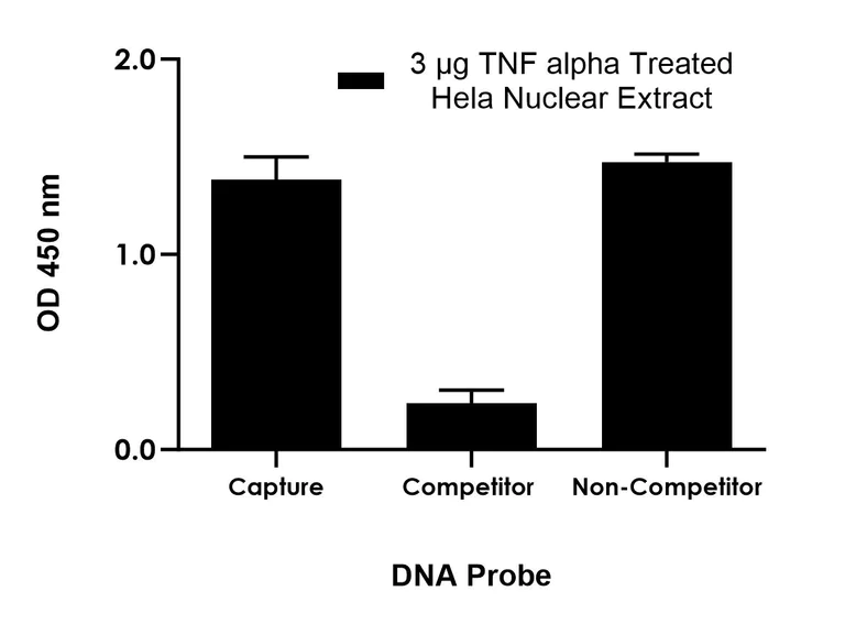 Functional Studies - NFkB p65 Transcription Factor Activity Assay Kit (AB324465)