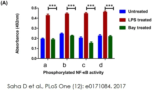 Functional Studies - NFkB p65 Transcription Factor Assay Kit (AB133112)