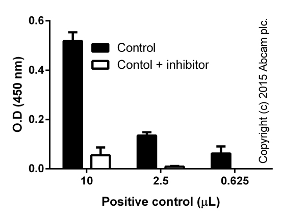 Functional Studies - NFkB p65 Transcription Factor Assay Kit (AB133112), expandable thumbnail