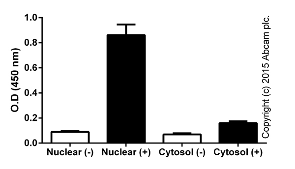 Functional Studies - NFkB p65 Transcription Factor Assay Kit (AB133112), expandable thumbnail