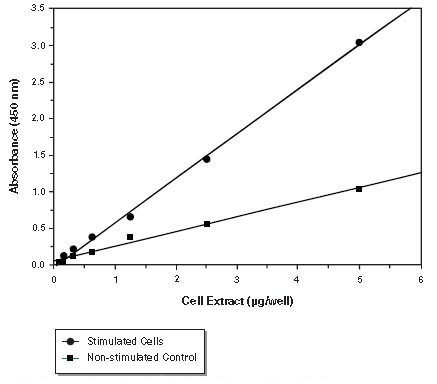 Functional Studies - NFkB p65 Transcription Factor Assay Kit (AB133112), expandable thumbnail