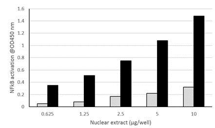 Functional Studies - NFkB p65 Transcription Factor Assay Kit (Colorimetric) (AB210613), expandable thumbnail