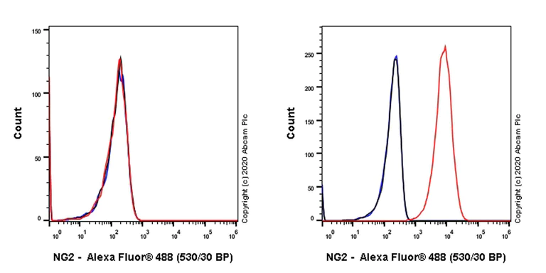 Flow Cytometry - Anti-NG2 antibody [7.1] (AB279348)
