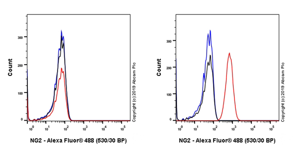 Flow Cytometry - Anti-NG2 antibody [EPR22410-145] (AB255811), expandable thumbnail
