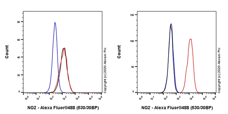 Flow Cytometry - Anti-NG2 antibody [EPR23752-147] - BSA and Azide free (AB275041)