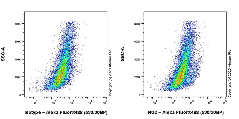 Flow Cytometry - Anti-NG2 antibody [EPR23752-147] - BSA and Azide free (AB275041)