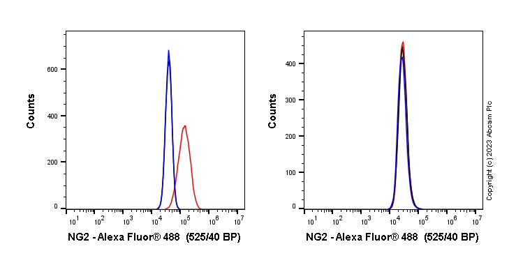 Flow Cytometry - Anti-NG2 antibody [EPR23976-145] (ab275024), expandable thumbnail