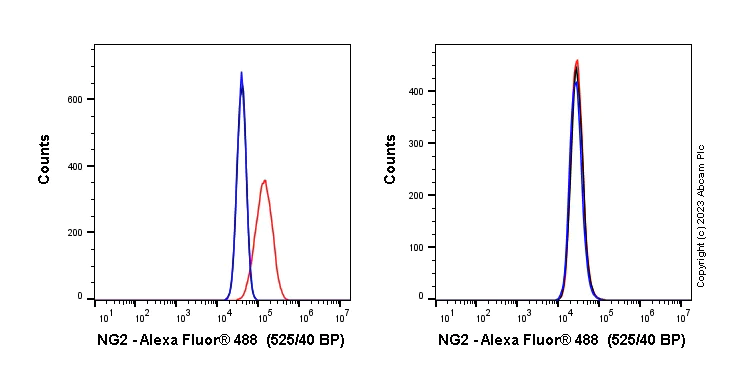 Flow Cytometry - Anti-NG2 antibody [EPR23976-145] (AB275024)