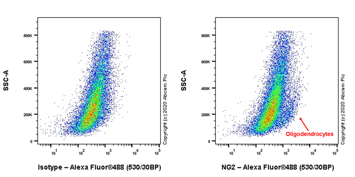 Flow Cytometry - Anti-NG2 antibody [EPR23976-145] (AB275024), expandable thumbnail