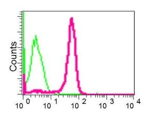 Flow Cytometry (Intracellular) - Anti-NgR3 antibody [EPR11334] - BSA and Azide free (AB249819)