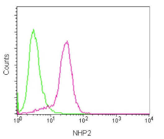Flow Cytometry (Intracellular) - Anti-NHP2 antibody [EPR12404] - BSA and Azide free (AB250201)