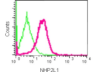 Flow Cytometry (Intracellular) - Anti-NHP2L1 antibody [EPR11671] (AB181982)