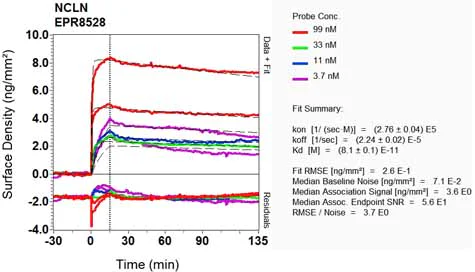 OI-RD Scanning - Anti-Nicalin antibody [EPR8528] - BSA and Azide free (AB248361)