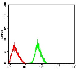 Flow Cytometry - Anti-Nicotinic Acetylcholine Receptor alpha 3/CHRNA3 antibody [6D3A10] (AB233717)