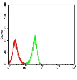 Flow Cytometry - Anti-Nicotinic Acetylcholine Receptor alpha 3/CHRNA3 antibody [6D3A10] (AB233717)