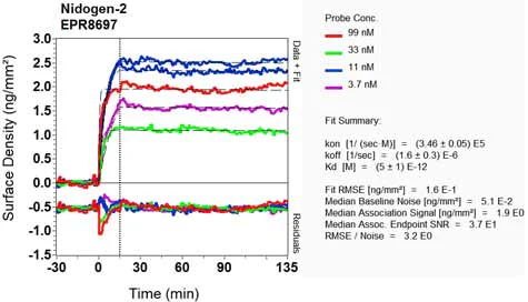 OI-RD Scanning - Anti-Nidogen 2/NID-2 antibody [EPR8697] (AB131279)