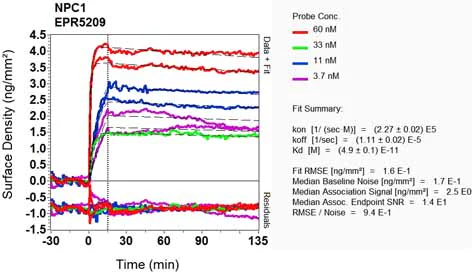 OI-RD Scanning - Anti-Niemann Pick C1 antibody [EPR5209] (AB134113)