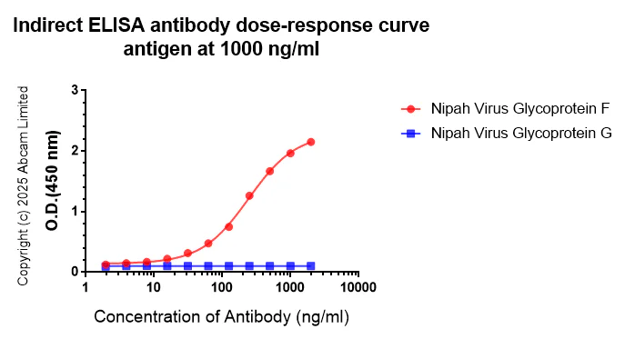 Indirect ELISA - Anti-Nipah Virus Glycoprotein F antibody [CG11] (AB325231)