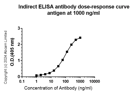 Indirect ELISA - Anti-Nipah virus Glycoprotein G antibody [EPR29883-707] - BSA and Azide free (AB324778)