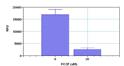 Functional Studies - NIR Mitochondrial Membrane Potential Assay Kit (Microplate) (AB112150), expandable thumbnail