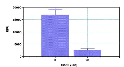 Functional Studies - NIR Mitochondrial Membrane Potential Assay Kit (Microplate) (AB112150)