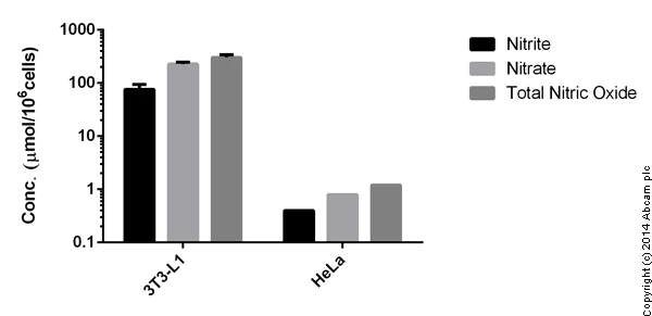 Functional Studies - Nitric Oxide Assay Kit (Colorimetric) (AB65328)
