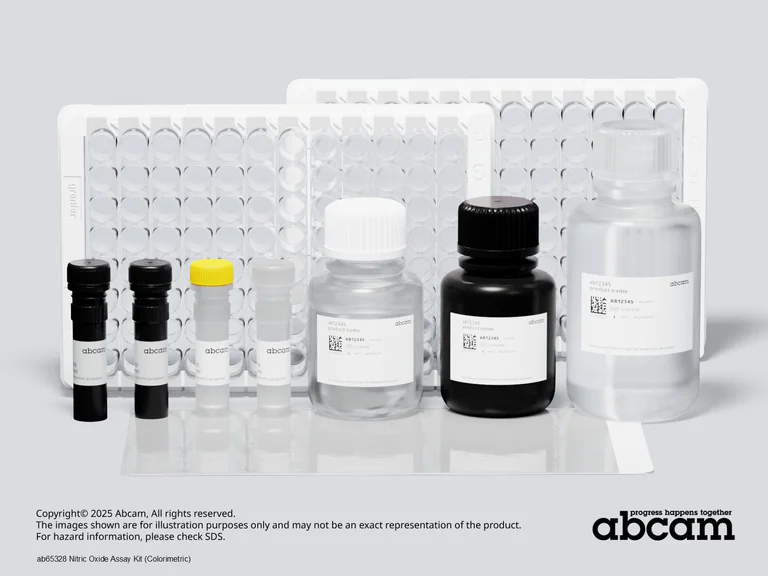 Schematic Diagram - Nitric Oxide Assay Kit (Colorimetric) (AB65328)