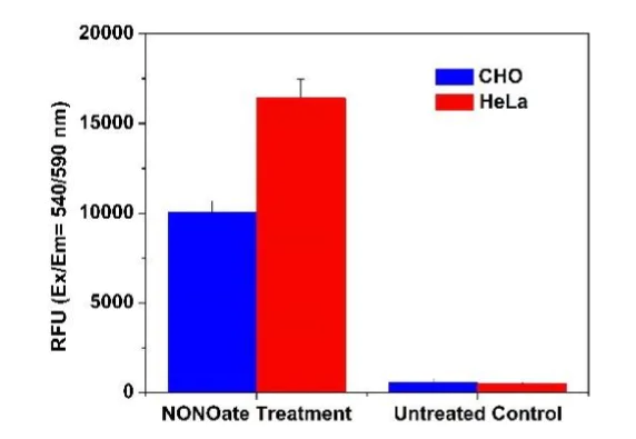Functional Studies - Nitric Oxide Assay Kit (Fluorometric - Orange) (AB219932)