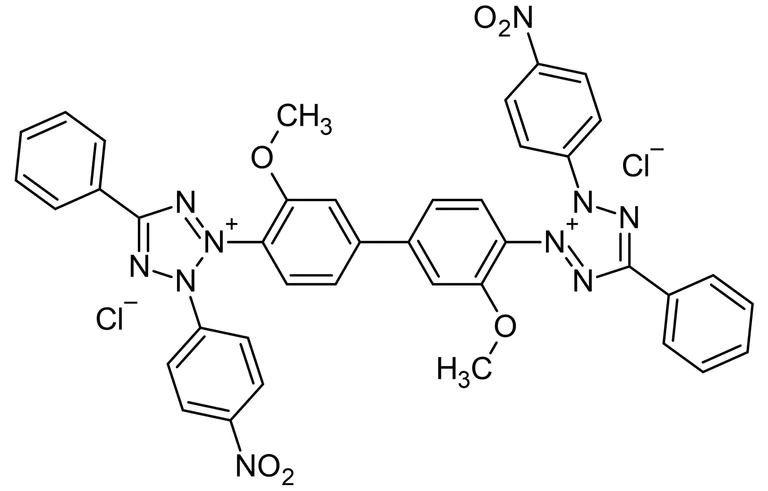 Chemical Structure - Nitrotetrazolium blue chloride (NBT), Chromogenic substrate (AB146262)