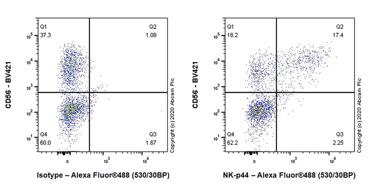 Flow Cytometry - Anti-NK-p44 antibody [EPR23732-129] (AB259346)