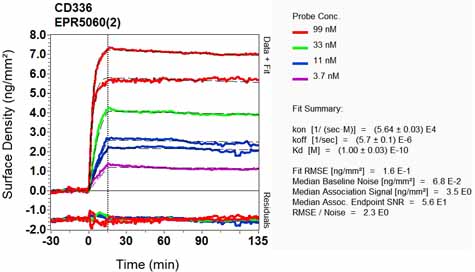 OI-RD Scanning - Anti-NK-p44 antibody [EPR5060(2)] (AB133668), expandable thumbnail