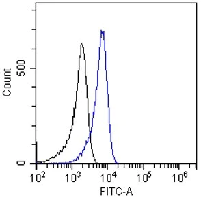 Flow Cytometry - Anti-NKCC1 antibody (AB99558)