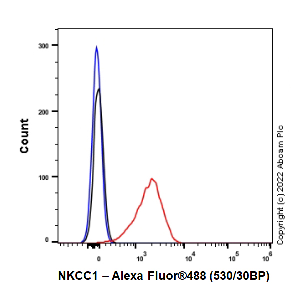 Flow Cytometry - Anti-NKCC1 antibody [EPR26256-60] - BSA and Azide free (ab303519), expandable thumbnail