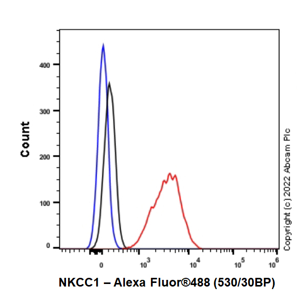 Flow Cytometry - Anti-NKCC1 antibody [EPR26256-60] - BSA and Azide free (ab303519), expandable thumbnail