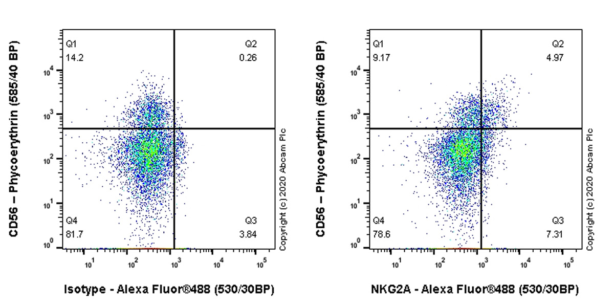 Flow Cytometry (Intracellular) - Anti-NKG2A antibody [EPR23737-127] (AB260035), expandable thumbnail