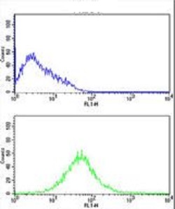 Flow Cytometry (Intracellular) - Anti-NKG2C antibody - N-terminal (AB230900)