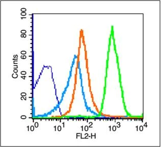 Flow Cytometry - Anti-NKG2D antibody (AB203353)