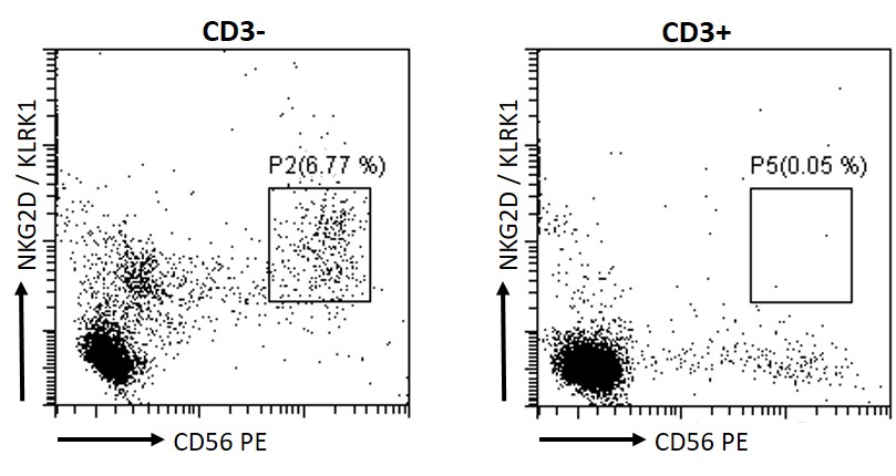 Flow Cytometry - Anti-NKG2D antibody (AB36136), expandable thumbnail