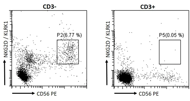Flow Cytometry - Anti-NKG2D antibody (AB36136)